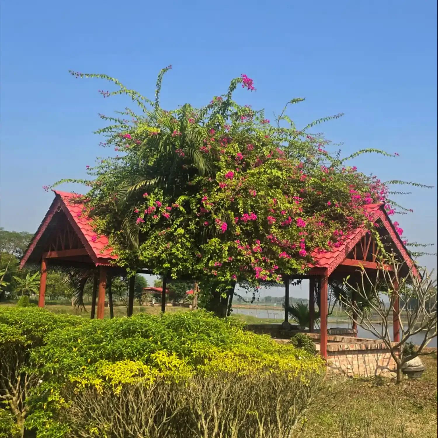 Pubali Batashe Resort grounds